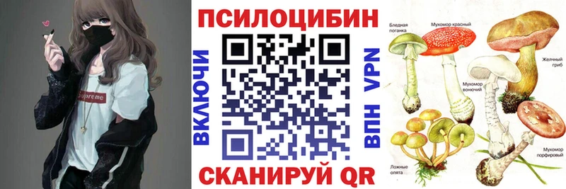 mega зеркало  цены наркотик  Переславль-Залесский  Псилоцибиновые грибы ЛСД 